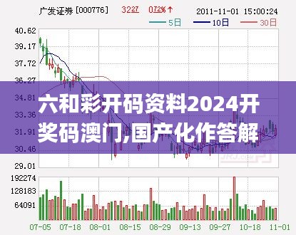 六和彩开码资料2024开奖码澳门,国产化作答解释落实_进阶版10.209