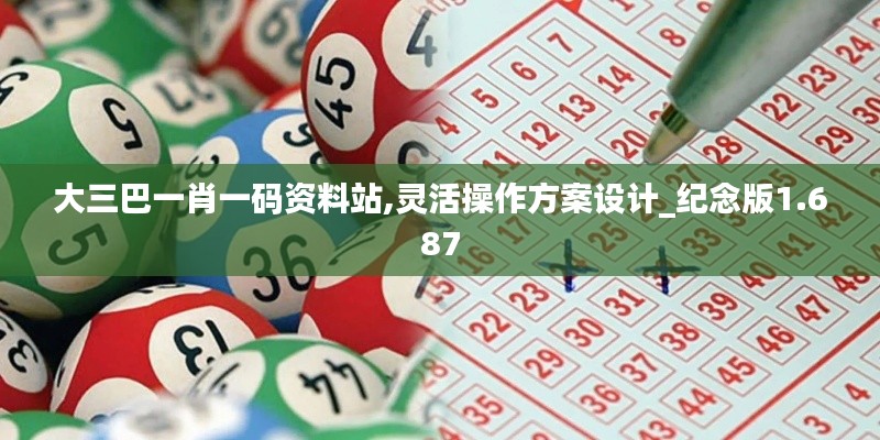 大三巴一肖一码资料站,灵活操作方案设计_纪念版1.687