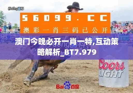澳门今晚必开一肖一特,互动策略解析_BT7.979