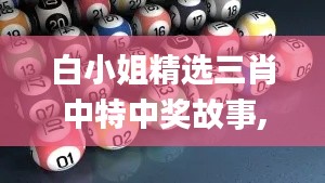 白小姐精选三肖中特中奖故事,实地分析解释定义_Kindle5.666