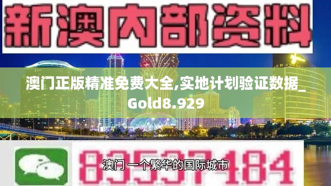 澳门正版精准免费大全,实地计划验证数据_Gold8.929