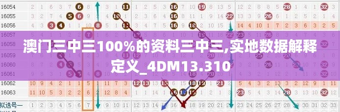澳门三中三100%的资料三中三,实地数据解释定义_4DM13.310