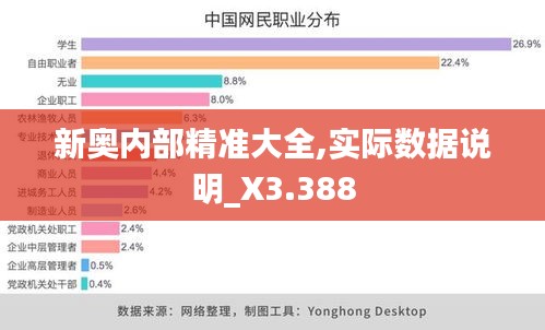 新奥内部精准大全,实际数据说明_X3.388