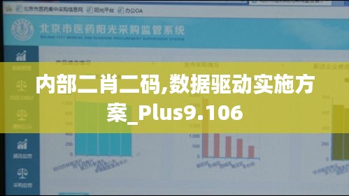 内部二肖二码,数据驱动实施方案_Plus9.106
