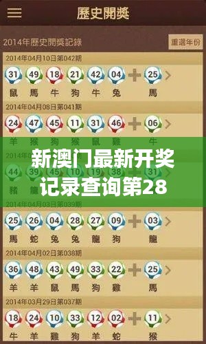 新澳门最新开奖记录查询第28期,高速计划响应执行_8DM1.882