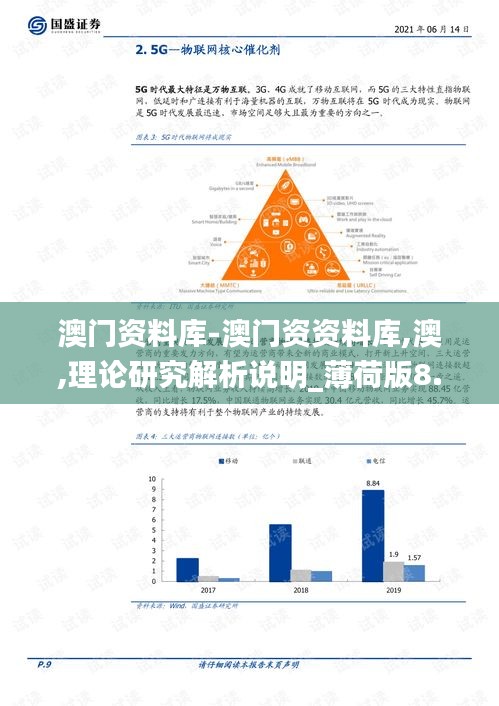 澳门资料库-澳门资资料库,澳,理论研究解析说明_薄荷版8.691