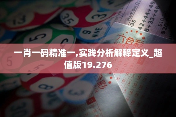 一肖一码精准一,实践分析解释定义_超值版19.276