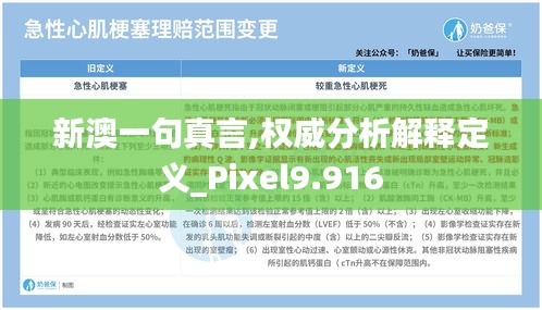 新澳一句真言,权威分析解释定义_Pixel9.916