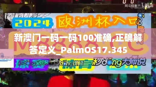 新澳门一码一码100准确,正确解答定义_PalmOS17.345