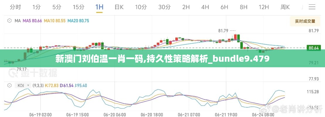新澳门刘伯温一肖一码,持久性策略解析_bundle9.479