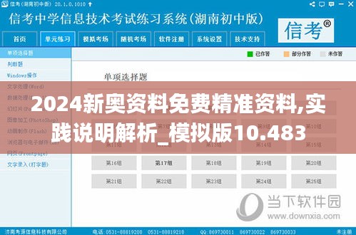 2024新奥资料免费精准资料,实践说明解析_模拟版10.483