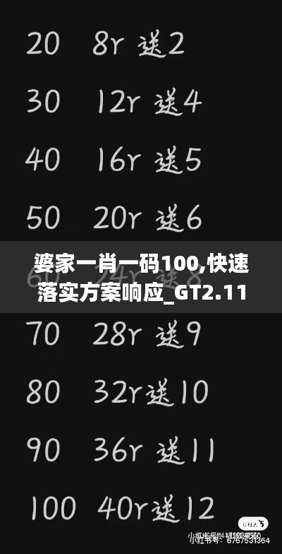 婆家一肖一码100,快速落实方案响应_GT2.114