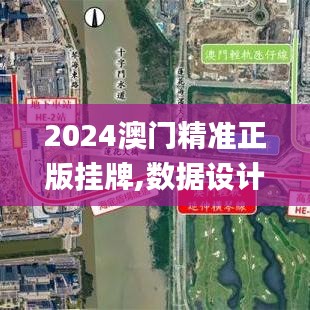 2024澳门精准正版挂牌,数据设计驱动策略_N版1.456