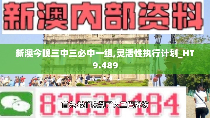 新澳今晚三中三必中一组,灵活性执行计划_HT9.489