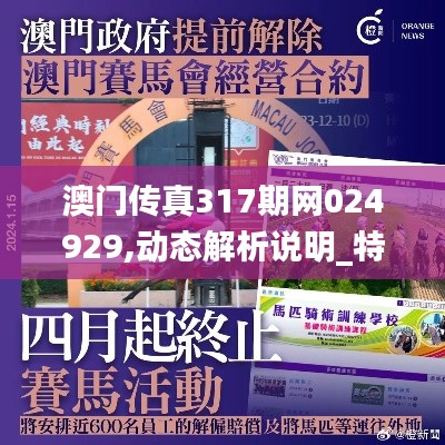 澳门传真317期网024929,动态解析说明_特供版2.562