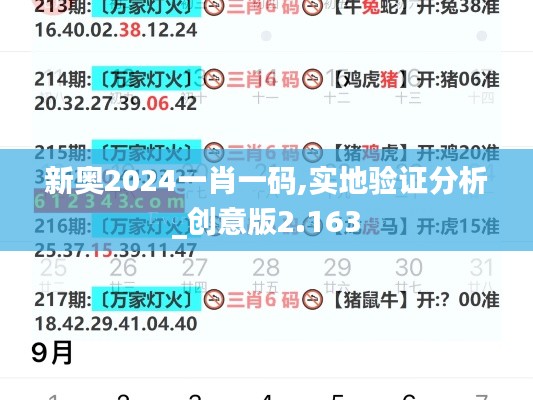 新奥2024一肖一码,实地验证分析_创意版2.163