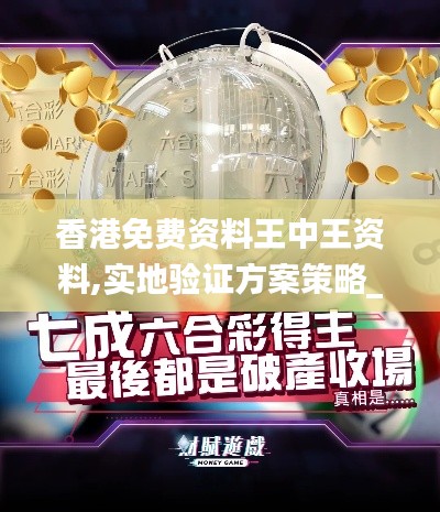 香港免费资料王中王资料,实地验证方案策略_进阶款3.780
