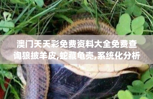 澳门天天彩免费资料大全免费查询狼披羊皮,蛇藏龟壳,系统化分析说明_免费版14.831