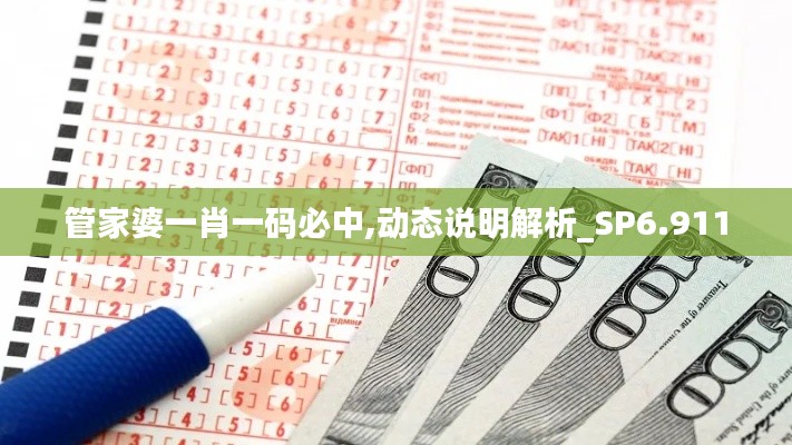 管家婆一肖一码必中,动态说明解析_SP6.911