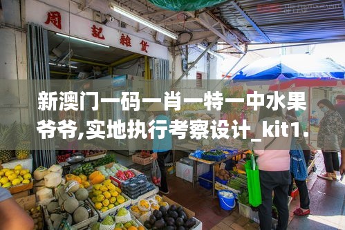 新澳门一码一肖一特一中水果爷爷,实地执行考察设计_kit1.818