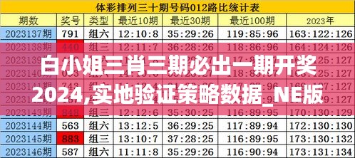 白小姐三肖三期必出一期开奖2024,实地验证策略数据_NE版6.685