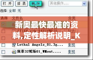 新奥最快最准的资料,定性解析说明_KP2.104