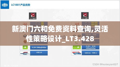 新澳门六和免费资料查询,灵活性策略设计_LT3.428