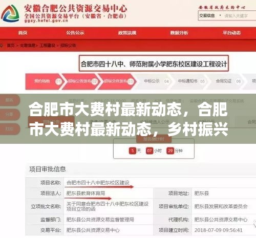 合肥市大费村最新动态，乡村振兴与社区发展的前沿观察进展