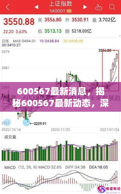 揭秘600567最新动态与行业趋势展望，深度解析未来发展策略