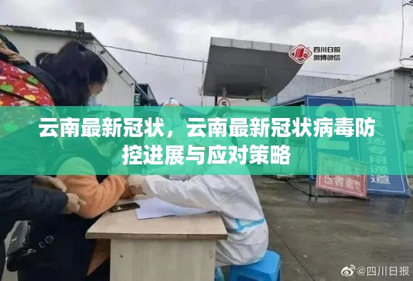 云南冠状病毒最新防控进展及应对策略