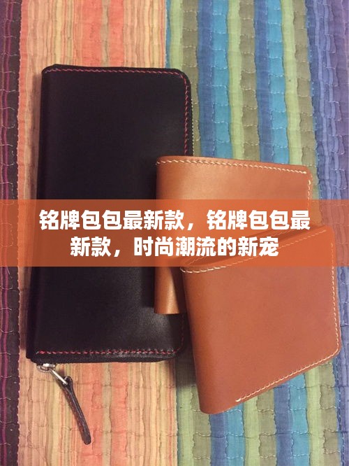 铭牌包包最新款，引领时尚潮流的新宠
