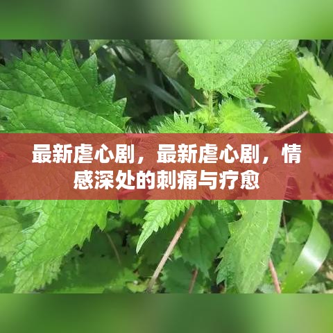 最新虐心剧，情感深处的刺痛与疗愈之旅