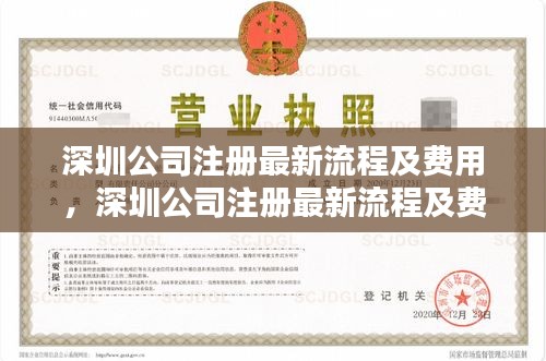 深圳公司注册最新流程与费用详解