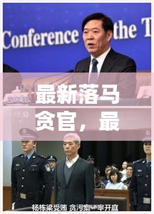 最新落马贪官揭示，贪腐背后的代价与警示