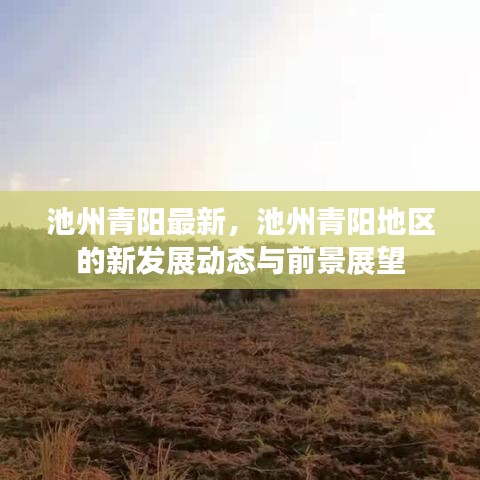 池州青阳新发展动态与前景展望