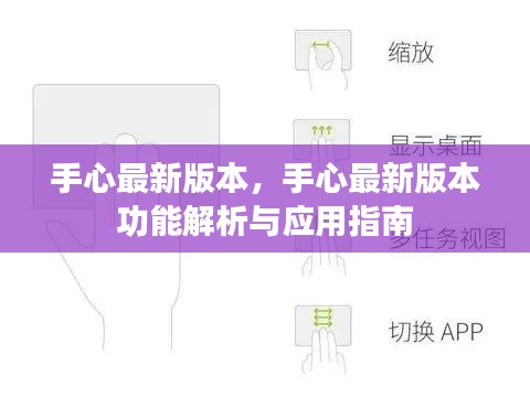 手心最新版本功能详解与应用指南