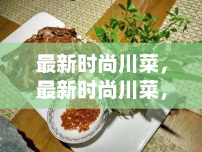 最新时尚川菜，传统与现代的完美融合之道