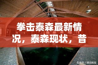 昔日拳王泰森的现状与风采，最新动态回顾