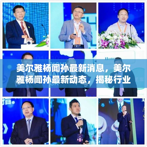 揭秘美尔雅杨闻孙的最新动态与行业展望，领军者的新动向与未来展望。