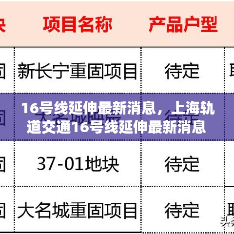 上海轨道交通16号线延伸最新消息深度解析与进展报告