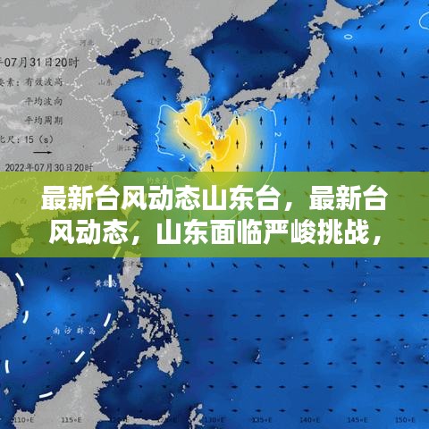山东迎战最新台风动态，全力守护家园安全