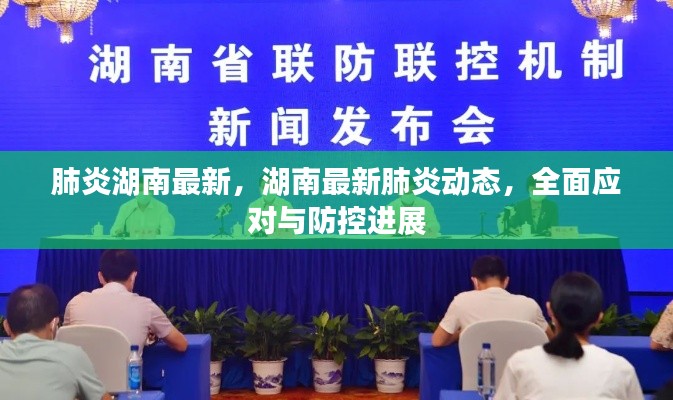 湖南最新肺炎动态，全面应对与防控进展更新报告