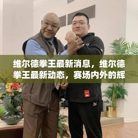 维尔德拳王赛场内外成就瞩目，未来展望令人期待的新动态
