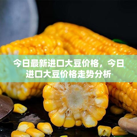 今日进口大豆价格动态及走势分析