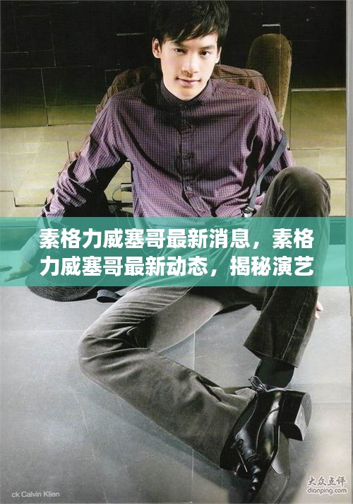 素格力威塞哥最新动态揭秘，演艺事业新篇章与未来展望展望报道速递