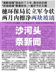 沙河头条新闻最新消息，沙河头条新闻最新消息，城市发展与环境保护的和谐共进
