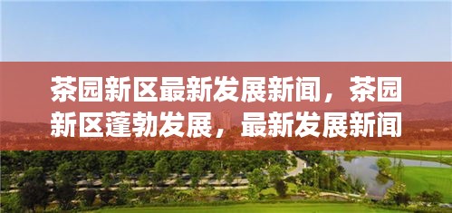 茶园新区蓬勃发展，最新发展新闻全面解读