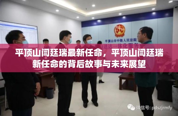 平顶山闫廷瑞的新任命，未来展望与背后故事揭秘