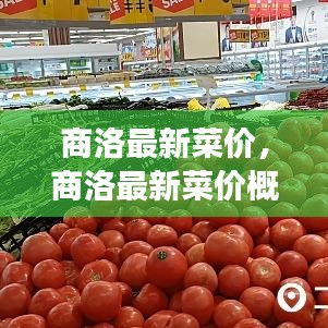 商洛最新菜价概览，市场走势、影响因素与消费洞察全解析