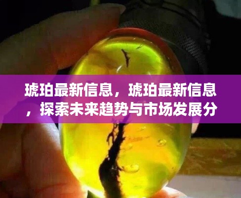探索琥珀的未来趋势与市场发展分析最新信息